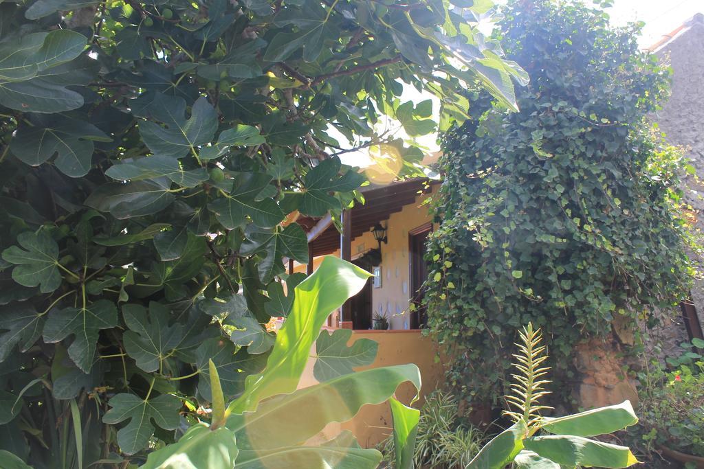 Casa Rural Las Rosas Agulo Pokoj fotografie