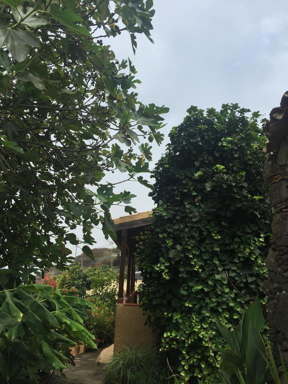 Casa Rural Las Rosas Agulo Exteriér fotografie